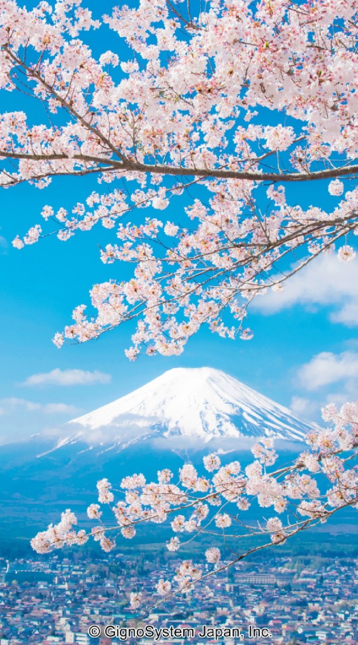 浜松市の人ー