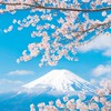 浜松市の人ー