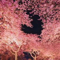 【雑談コミュ】すくらっぷandびるど☆