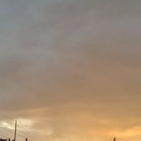 กลุ่มนักวาดรูป