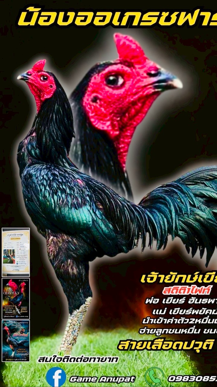 ออเกรซฟาร์ม