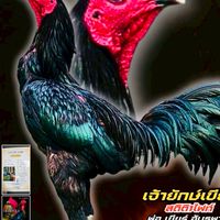 ออเกรซฟาร์ม