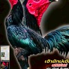 ออเกรซฟาร์ม