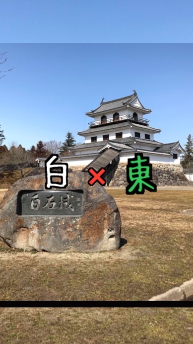 白×東 。(幹事、幹事候補)グループ