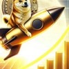 DOGE金融-富豪俱樂部