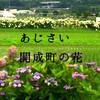 【公式】ザ・フリーターズ【酒を飲めよ】