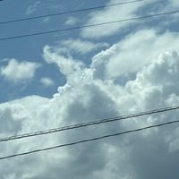 誰でもどうぞなクトゥルフ神話TRPG【仍さん卓】