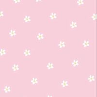 ∘◦˚₊‧꒰აปล ่อย˚การ ์ด//ขายการ ์ด ∘◦˚໒꒱‧₊˚