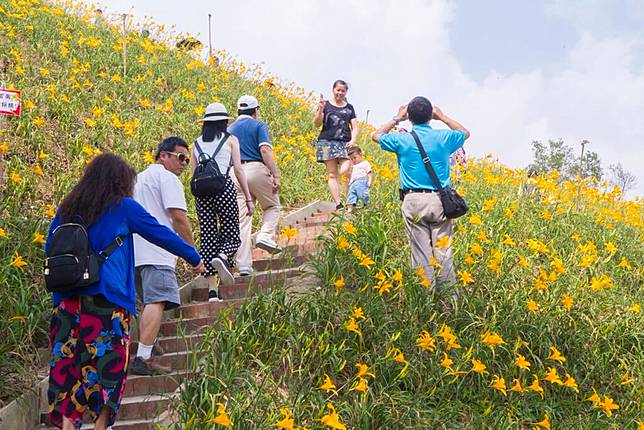 影 花檀鄉虎山岩金針花爆紅不必去花東就能賞花 Nownews 今日新聞 Line Today