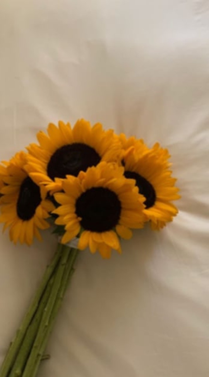 ด้อมทานตะวัน🤍🌻