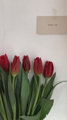 กลุ่มโทนเอย💐🤍