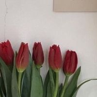 กลุ่มโทนเอย💐🤍