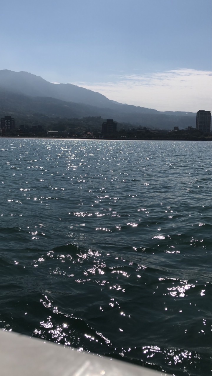 大家可以來聊天，也可以來聊家裡動物追星也可以來