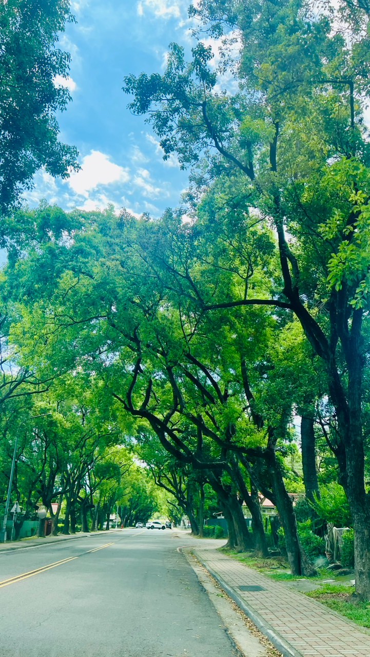 一米陽光