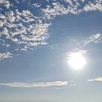 樂活歸巢
