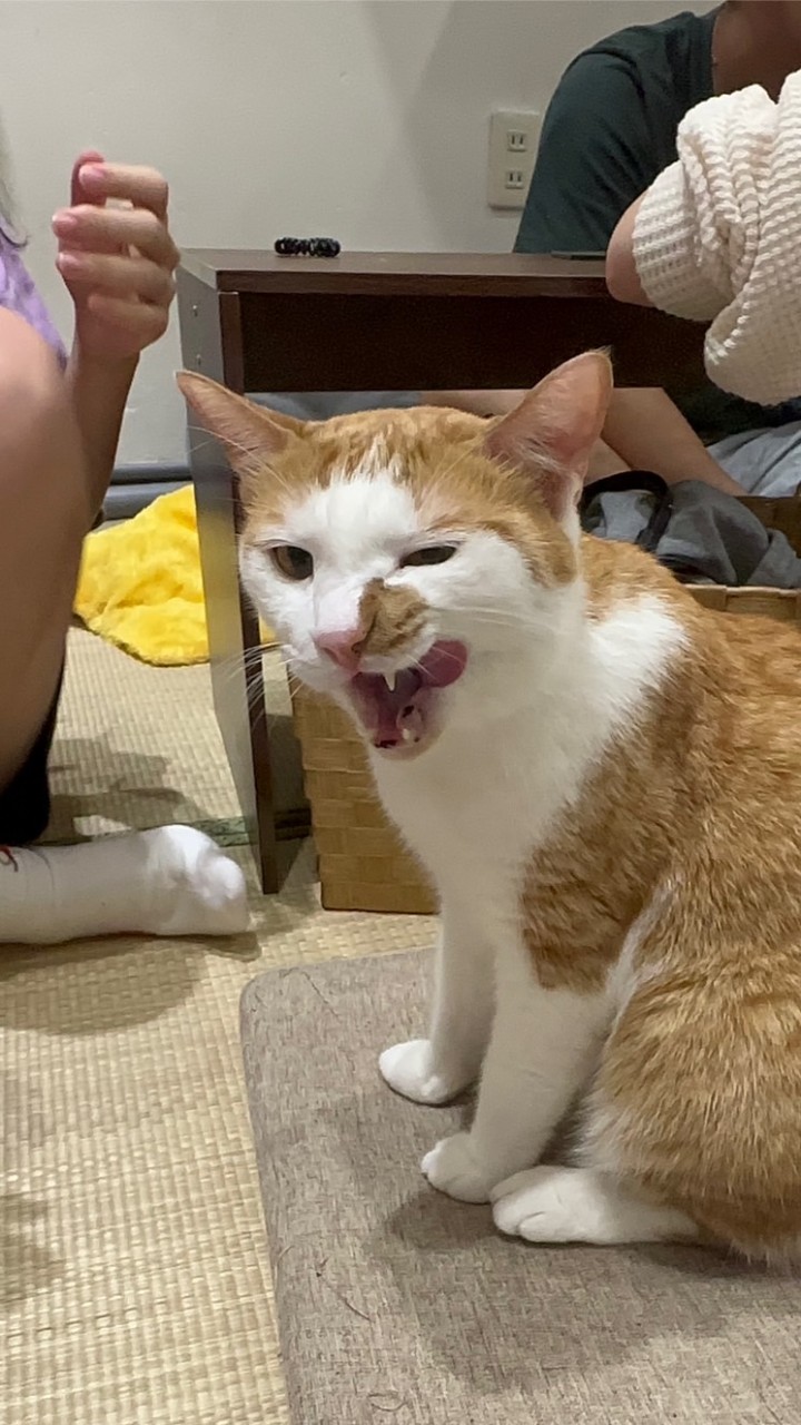 普化