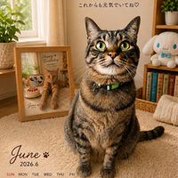 猫の写真をひたすらUPしながら雑談を楽しむ部屋