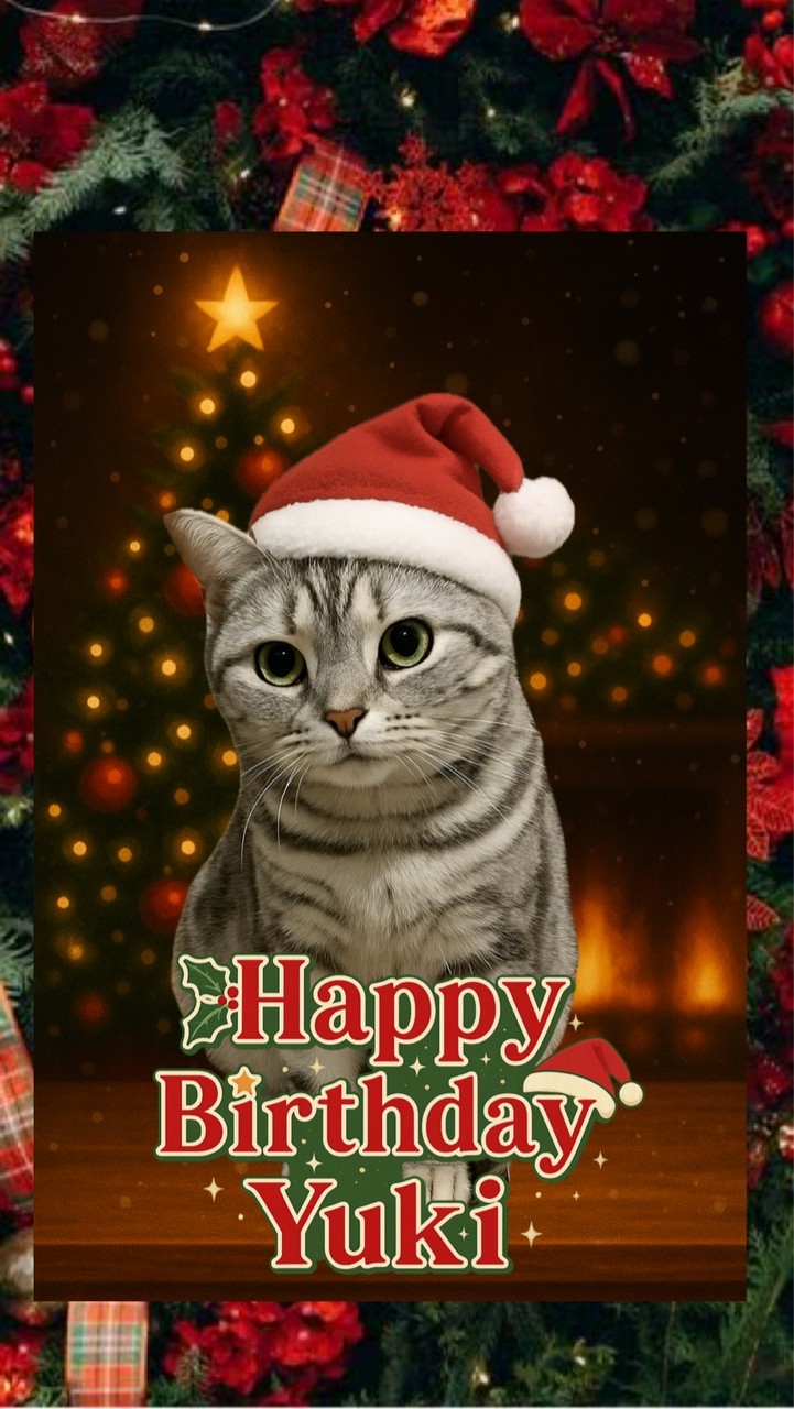 猫の写真をひたすらUPしながら雑談を楽しむ部屋 〜I'll be back.〜 寅さん🐯