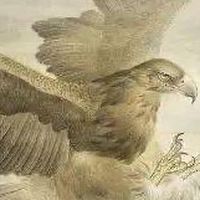 （四）AM莊子的靈性議題