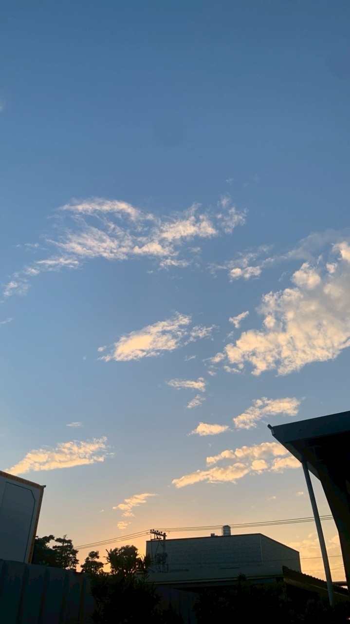 日日有見財