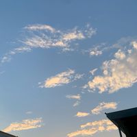 日日有見財