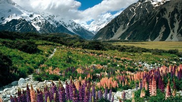 旅遊推薦／生態達人帶路 感動探秘紐西蘭！