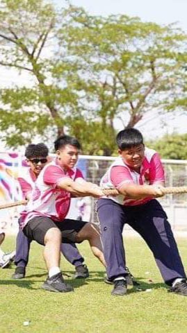 กีฬาไทย สีชมพู/2567