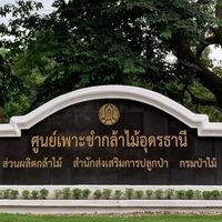 ผู้ขอรับกล้าไม้ ศูนย์เพาะชำกล้าไม้อุดรธานี