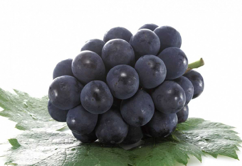 現場提供麝香葡萄、比歐內葡萄試吃嘗鮮禮，與此同時city’super推出精緻水果禮盒禮籃客製化包裝、諮詢等貼心服務。