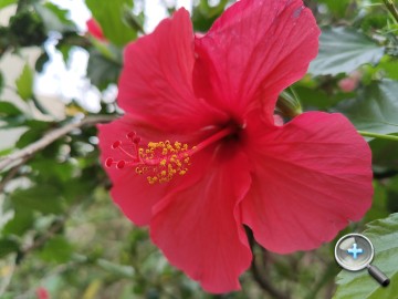 IMG20200314172421.jpg IMG20200314172421.jpg