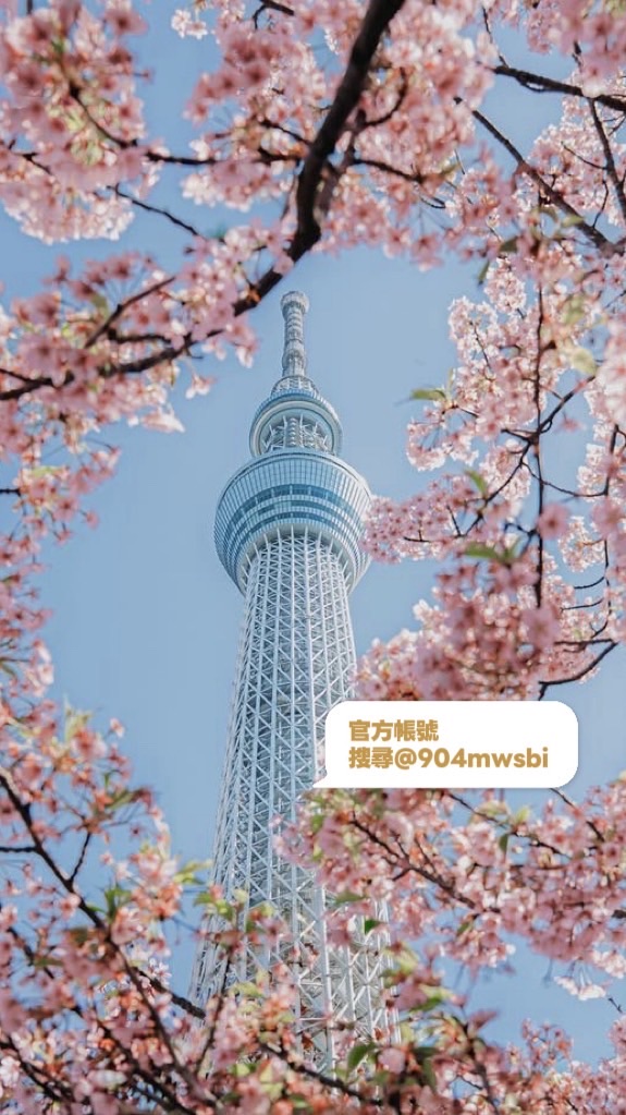 𝒎𝒎日本代購群🇯🇵東京6/2-6/7