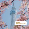 𝒎𝒎日本代購群🇯🇵東京6/2-6/7