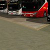 遊覽車聚群