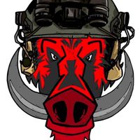 Shop MJ tactical