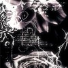 ˖ ࣪⊹ 薔薇  ＿ ,,  折  ︎︎˖ ⌖