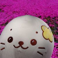 しろたん好きな人居ませんか？語りましょう。キュー❤️
