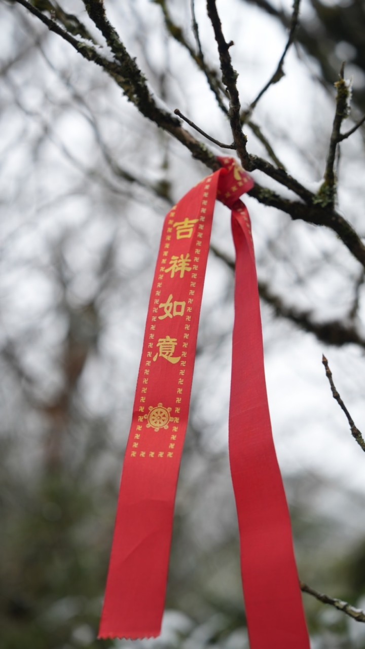 麗瓊