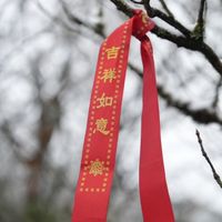 麗瓊