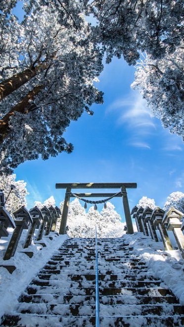 歡樂大家庭🌏