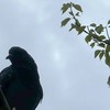 イライラ爆発させよ