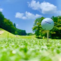 平成生まれ⛳️ゴルフ好き🏌️‍♂️🏌️‍♀️