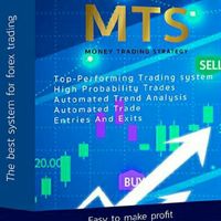 MTS SYSTEM