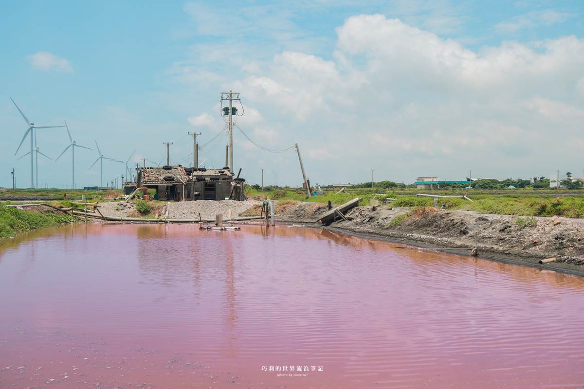 體驗全台唯一「海牛採蚵」！彰化芳苑１日遊必訪６亮點，海鮮控爽吃烤蚵大餐