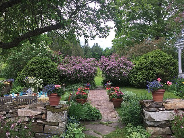 ターシャ テューダーの生き方に憧れた ある写真家の庭づくり バーモントの片隅に暮らす 11 毎日が発見