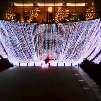 20代〜東京の名所を皆んなで情報共有