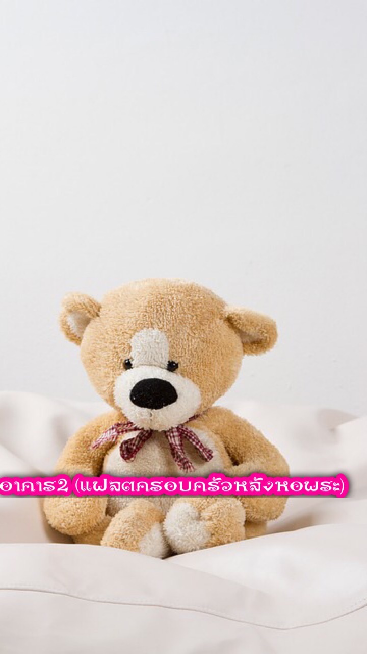 อาคาร2 (แฟลตครอบครัวหลังหอพระ)