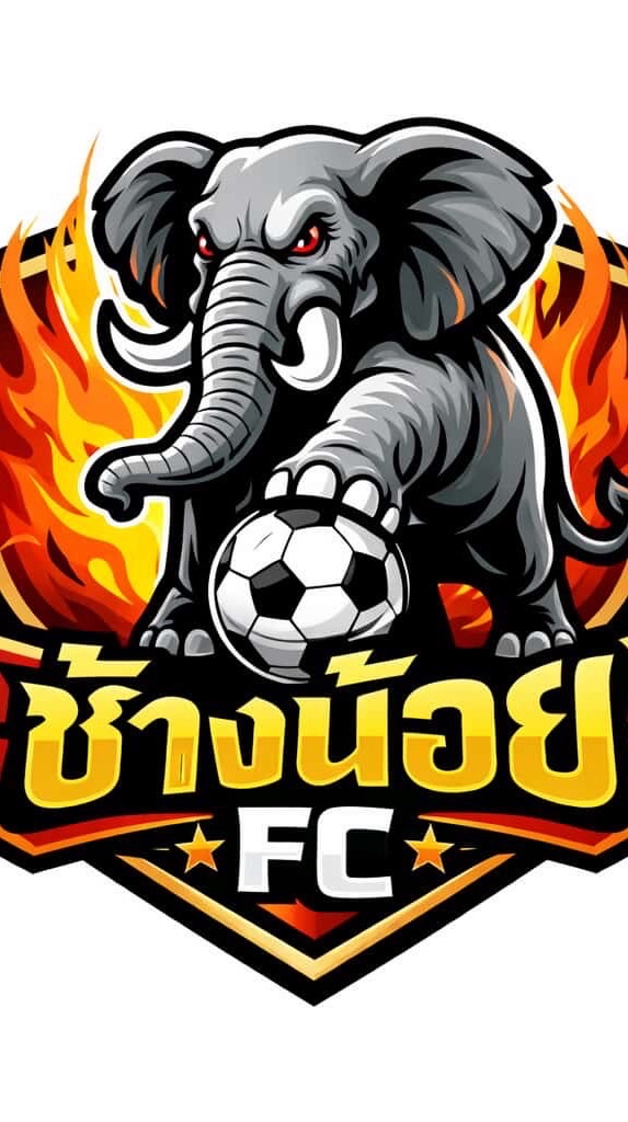 รายละเอียดช้างน้อยFC🐘