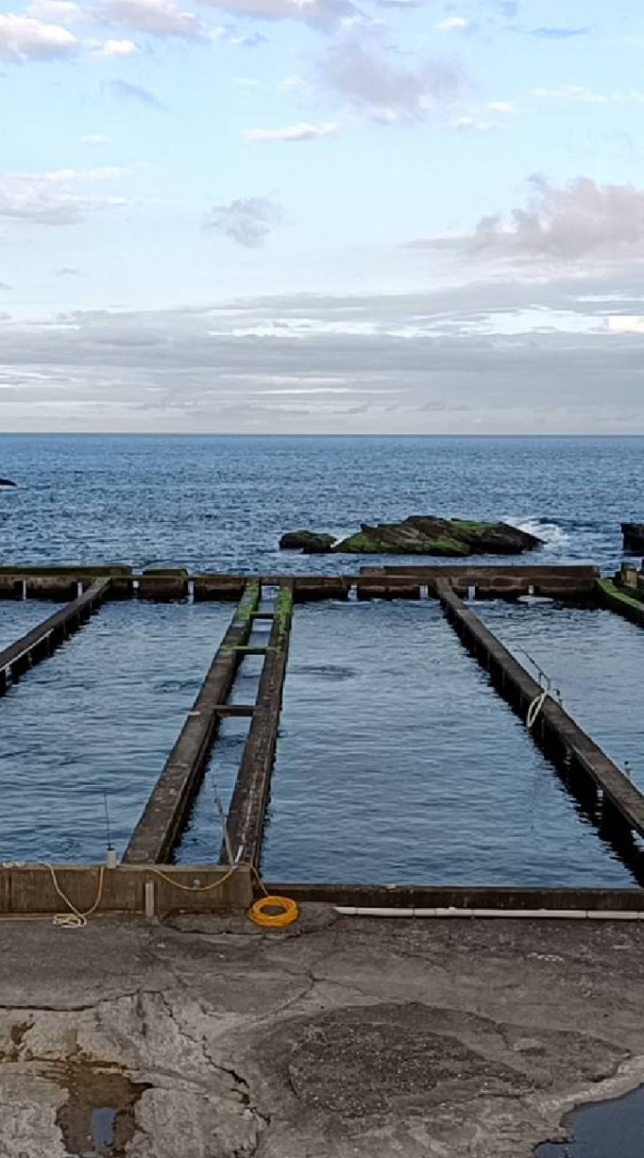 海樂水產養殖廠觀賞魚競標買賣（北部）