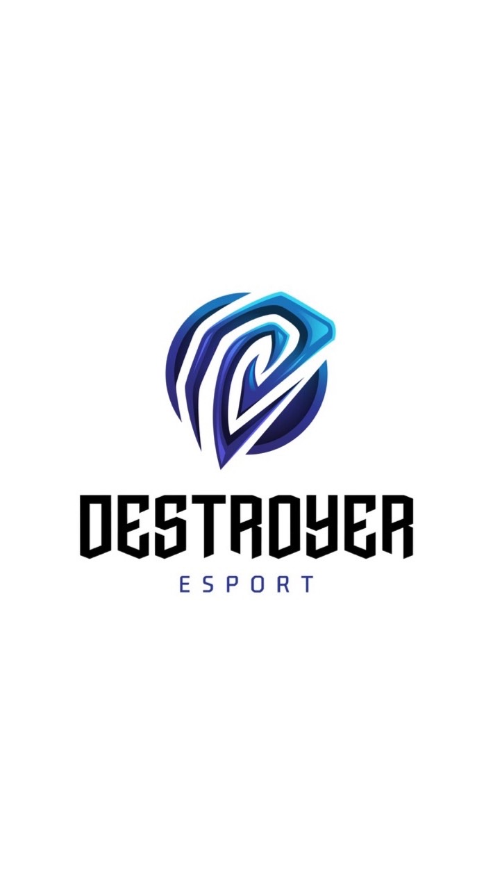 Destroyer E-Sport