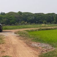 ที่ดินแบ่งขาย@บ้านดอนยาง ต.ศิลา อ.เมืองขอนแก่น